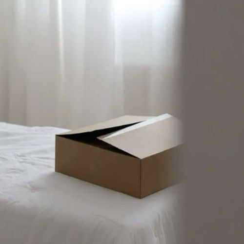 Hộp carton 20x15x10cm nắp đối size 23, 3 lớp, sóng B, mặt nâu đáy mộc