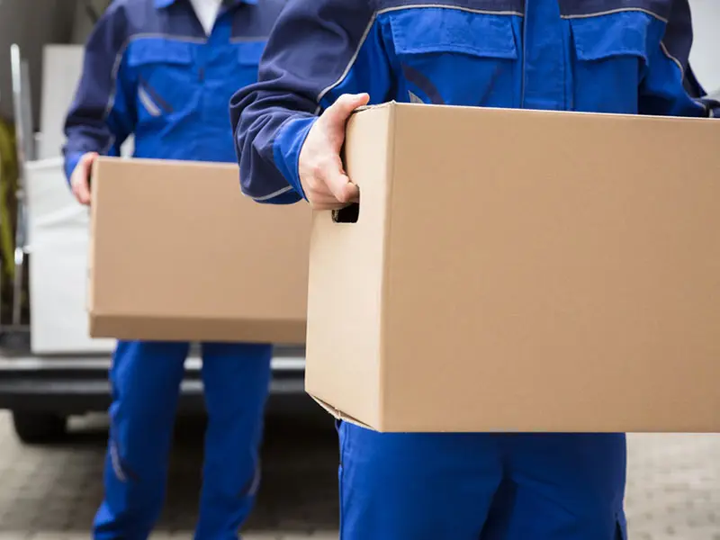 Công dụng tuyệt vời của thùng đựng hồ sơ