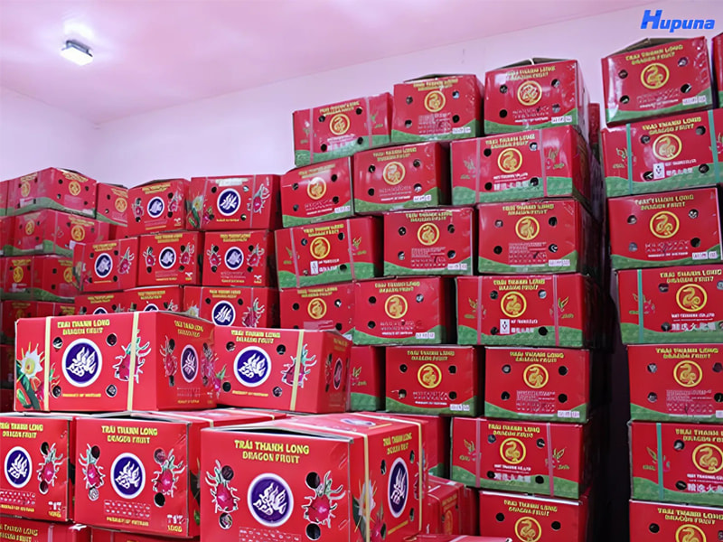 Hupuna là xưởng sản xuất hộp đựng thanh long xuất khẩu chất lượng