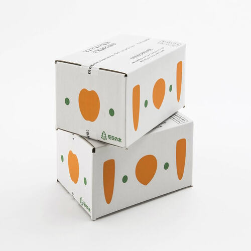 Mẫu hộp carton đối khẩu in 3 màu ảnh ảnh 4