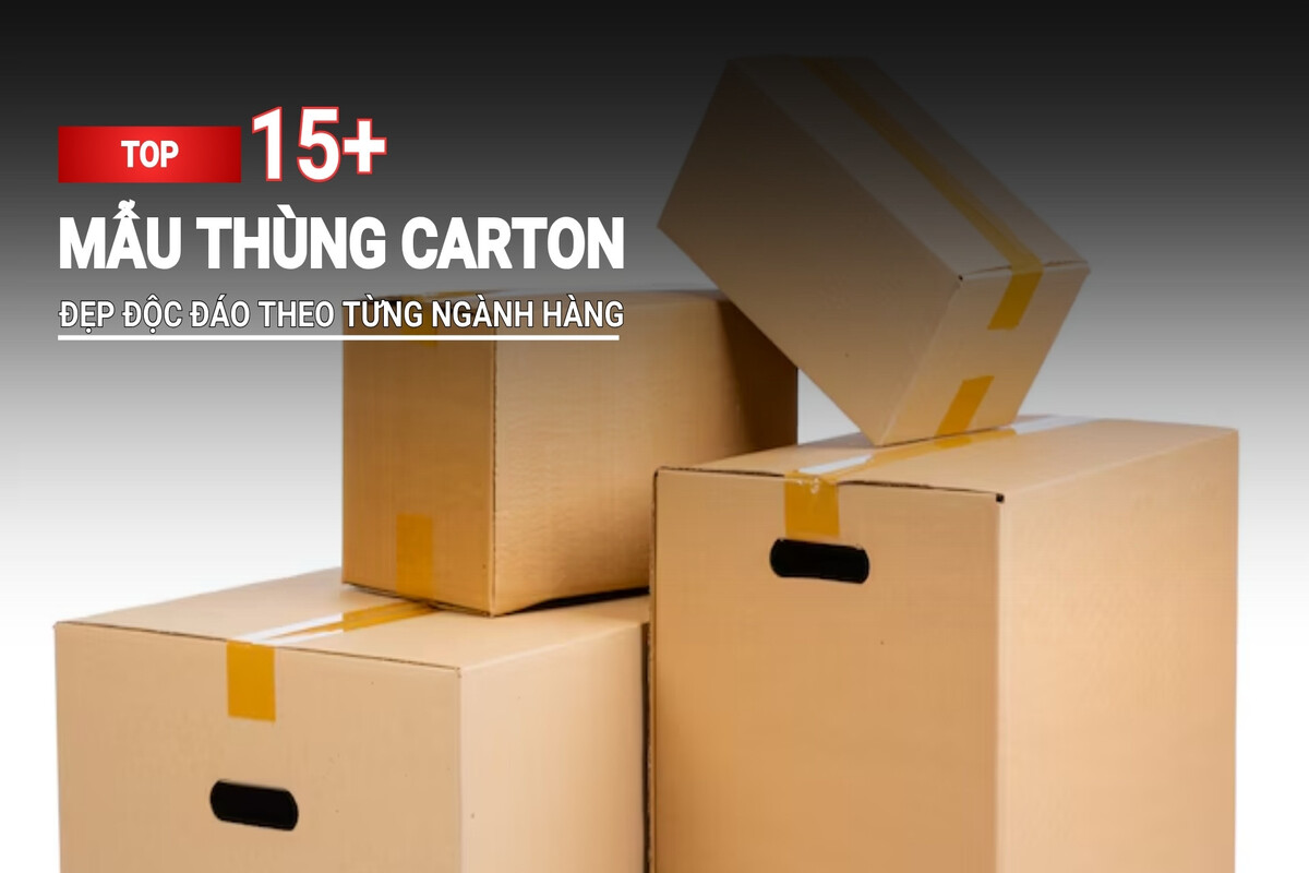 Top mẫu thùng carton đẹp trên thị trường