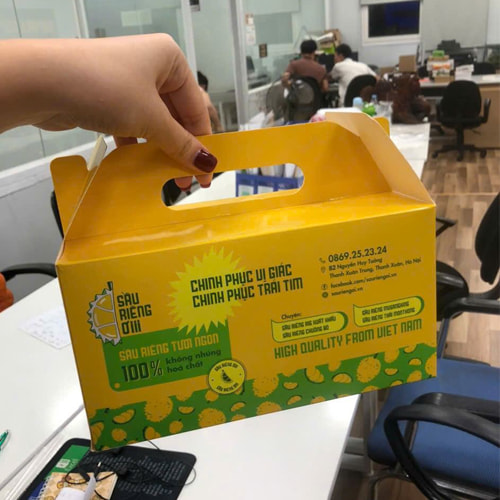 Hộp carton có quai xách ảnh 2