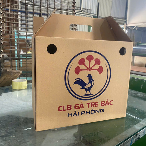 Hộp carton có quai xách ảnh 3