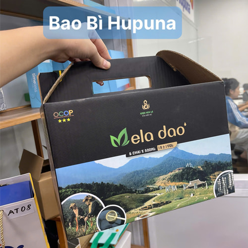 Hộp carton có quai xách ảnh 5