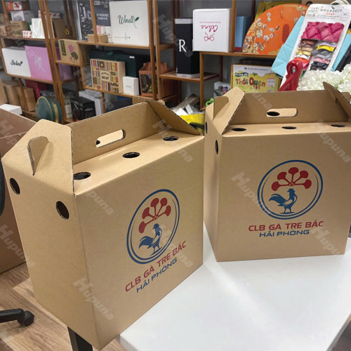 Hộp carton có quai xách ảnh 6
