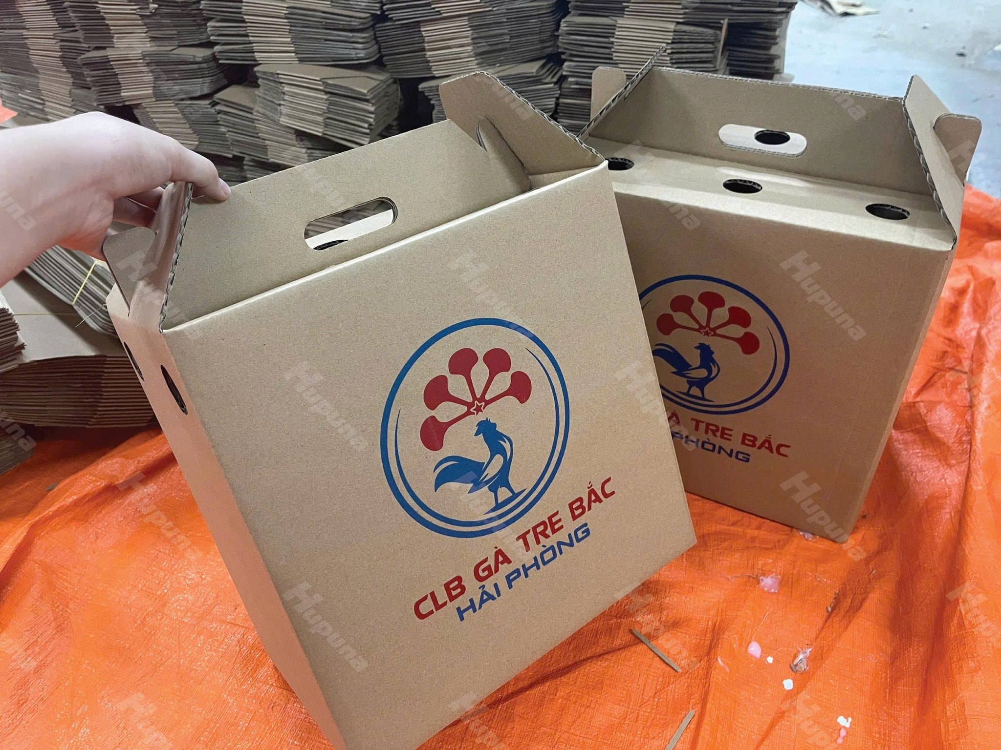 Hộp carton có quai xách ảnh 7