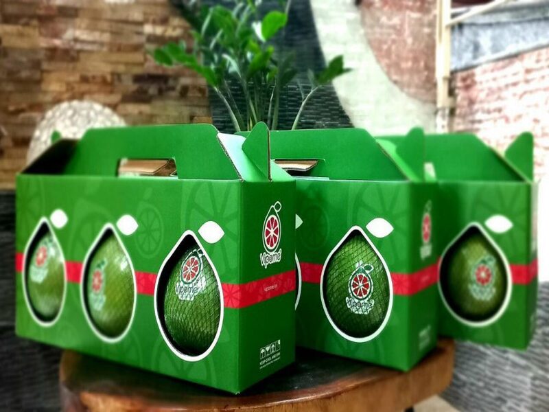 Tổng quan về hộp carton có quai xách