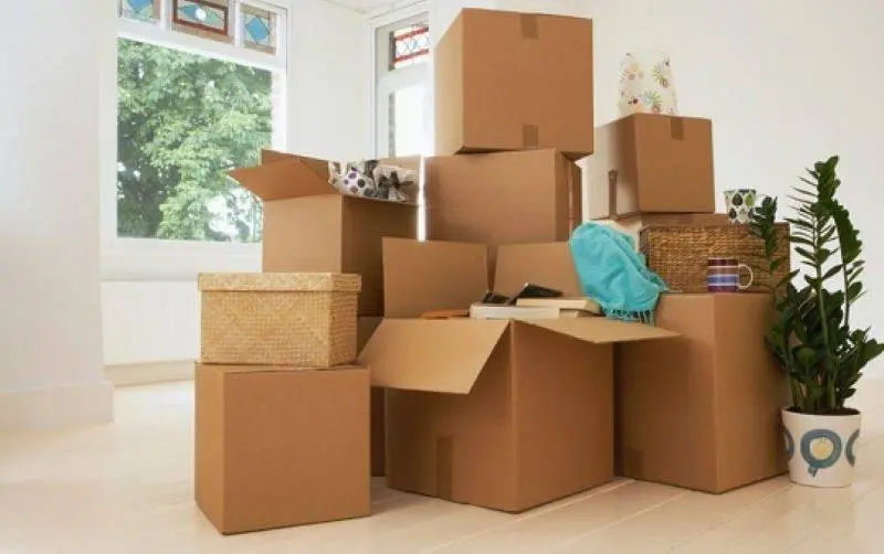 Chất lượng thùng carton, chất lượng của thùng carton, chất lượng hộp carton, chất lượng của hộp carton.