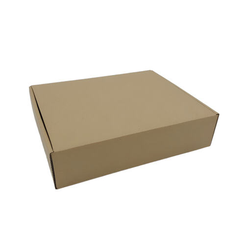 Hộp carton 25x20x10cm nắp gài 3 lớp (2)