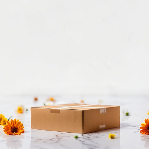 Hộp carton 30x25x25cm nắp đối 3 lớp