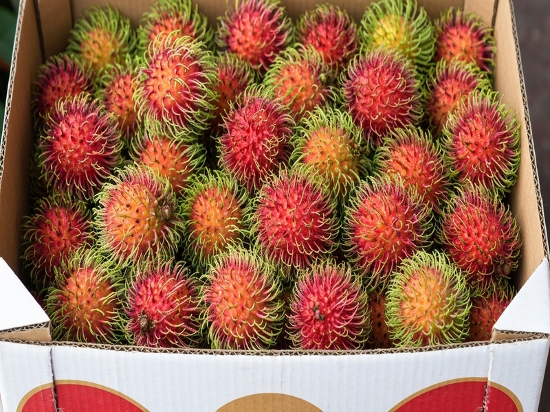 Thùng carton đựng chôm chôm