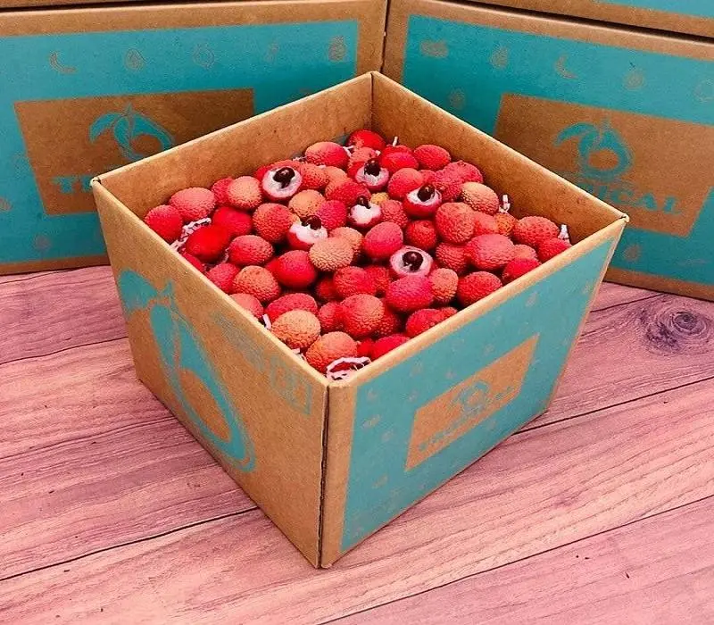 in hộp đựng vải thiều, hộp giấy đựng vải thiều, hộp carton đựng vải thiều, hộp giấy carton đựng vải thiều, thùng đựng vải thiều, thùng giấy đựng vải thiều, thùng carton đựng vải thiều, thùng giấy carton đựng vải thiều