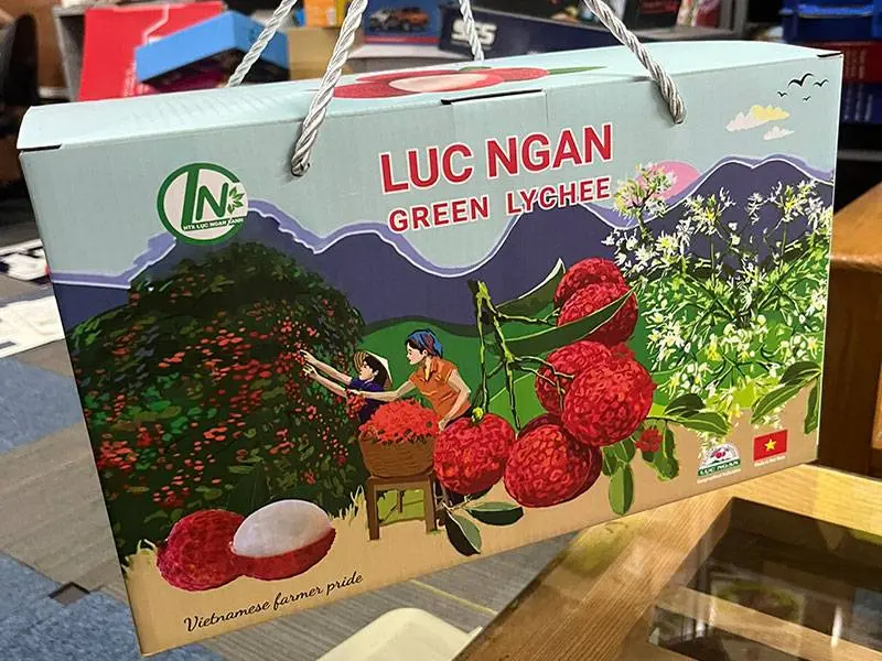 Hộp carton, thùng carton đựng vải xuất khẩu