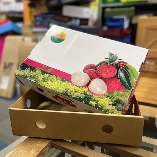Hộp carton, thùng carton đựng vải xuất khẩu