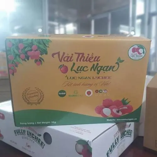 Hộp carton, thùng carton đựng vải xuất khẩu