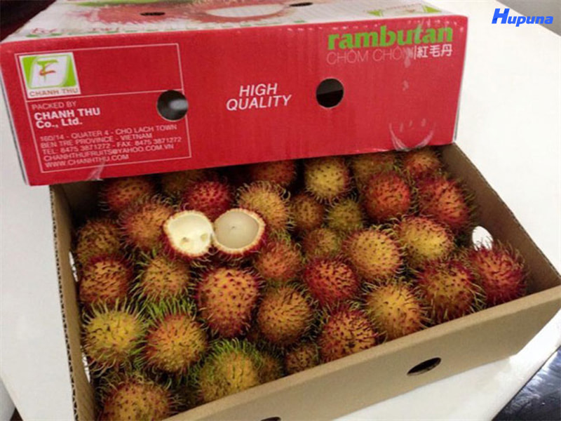 Đặc điểm của thùng carton đựng chôm chôm xuất khẩu