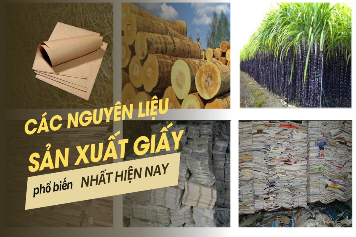 Giấy làm từ gì Khám phá nguyên liệu và quy trình sản xuất