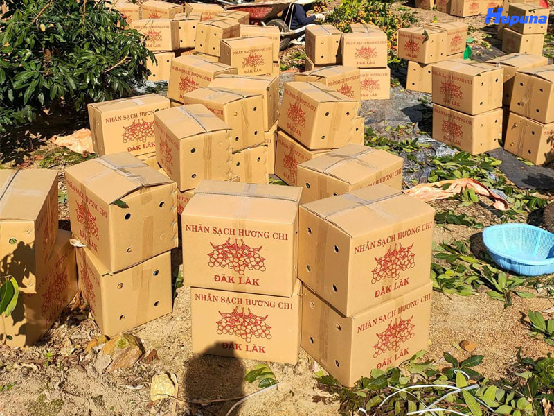 Hupuna chuyên sản xuất thùng carton đựng nhãn xuất khẩu uy tín, giá rẻ