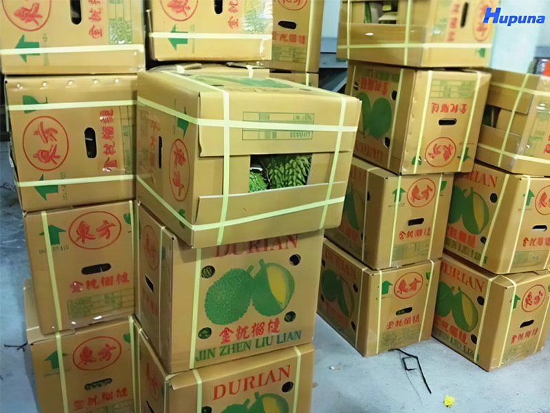 Hupuna sản xuất thùng carton đựng sầu riêng xuất khẩu chất lượng