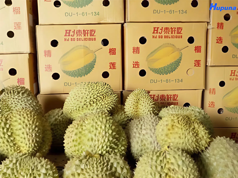 Nên sử dụng thùng carton đựng sầu riêng xuất khẩu