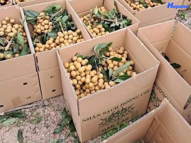 Tầm quan trọng của thùng carton đựng nhãn xuất khẩu