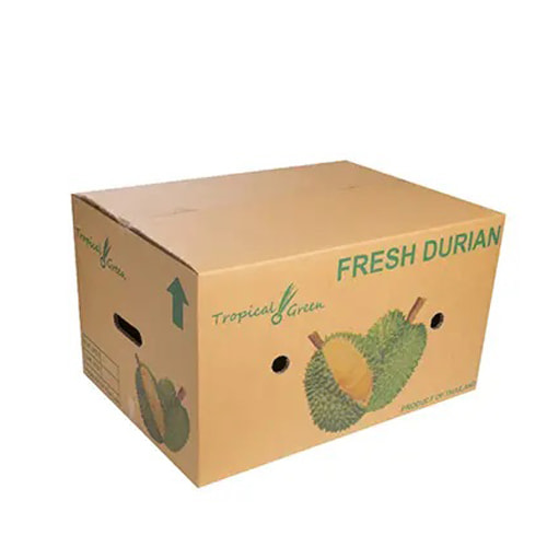 Thùng carton đựng sầu riêng ảnh 3