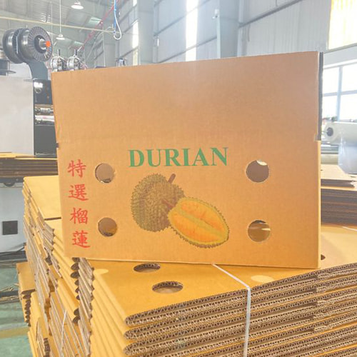 Thùng carton đựng sầu riêng ảnh 4