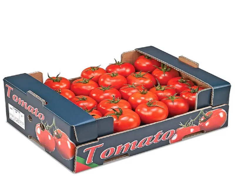 Khay carton đựng nông sản, thùng đựng nông sản, thùng carton