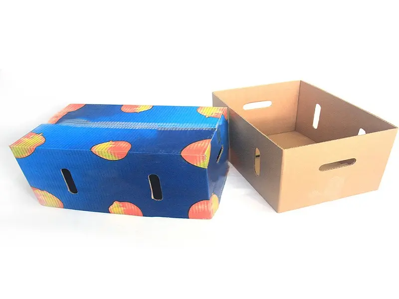 Khay carton đựng nông sản, thùng đựng nông sản, thùng carton