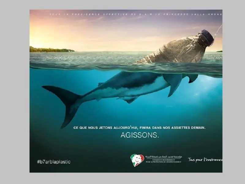 Poster quảng cáo, áp phích
