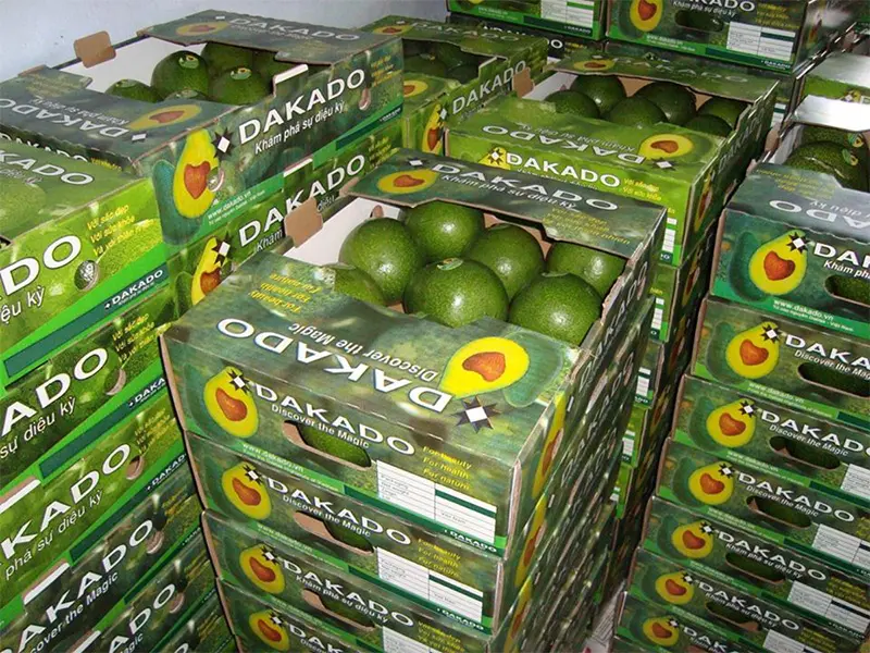 thung-carton-dung-bo-15