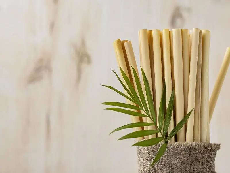 sản phẩm an toàn với môi trường, sản phẩm từ thiên nhiên, sản phẩm tái chế, những sản phẩm thân thiện với môi trường