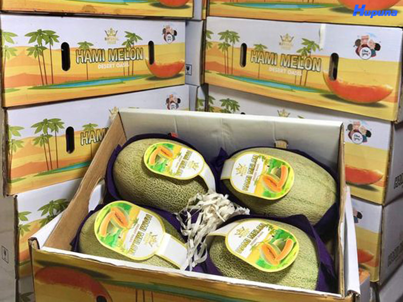Các quy định khắt khe của thùng carton đựng dưa lưới xuất khẩu