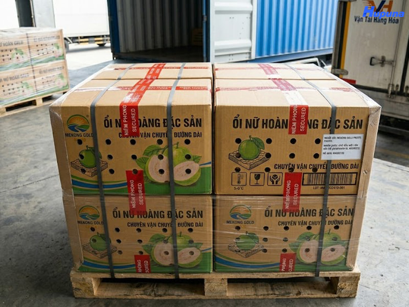 Doanh nghiệp cần đầu tư vào thùng đựng ổi xuất khẩu