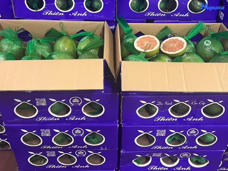 Hupuna chuyên sản xuất thùng đựng bưởi da xanh xuất khẩu uy tín, giá tốt