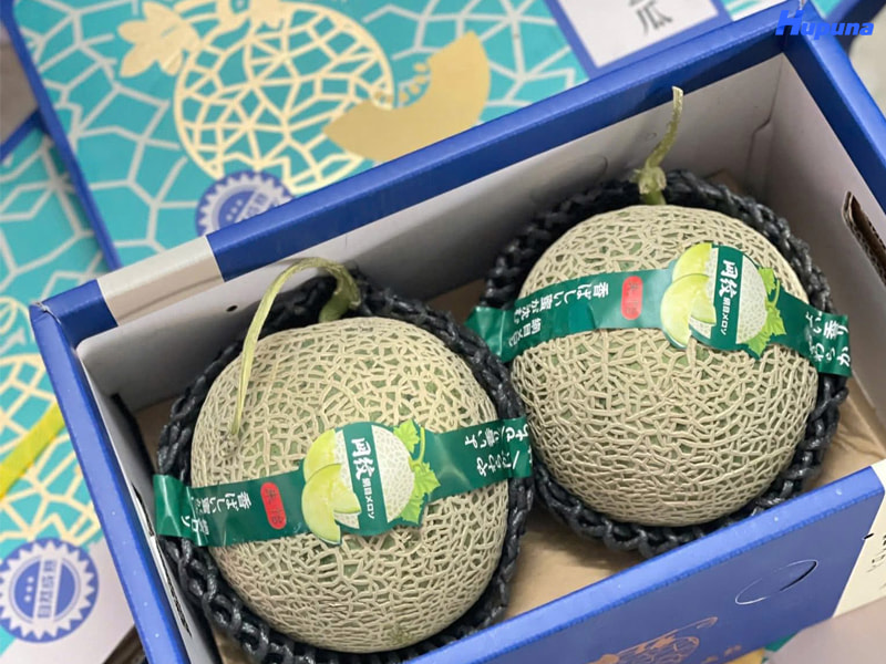 Kích thước thùng đựng dưa lưới xuất khẩu chuẩn chỉnh