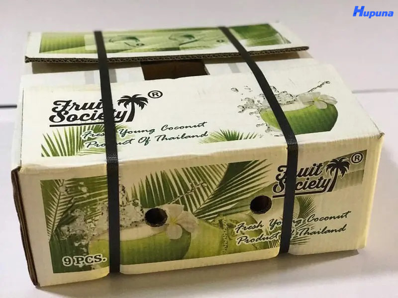 Lợi ích khi đầu tư thùng đựng dừa tươi xuất khẩu