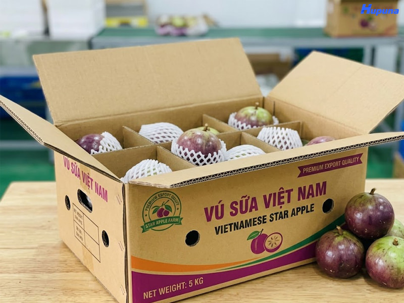 Tầm quan trọng của thùng đựng vú sữa xuất khẩu