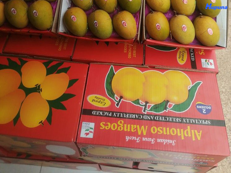 Tầm quan trọng của thùng đựng xoài xuất khẩu