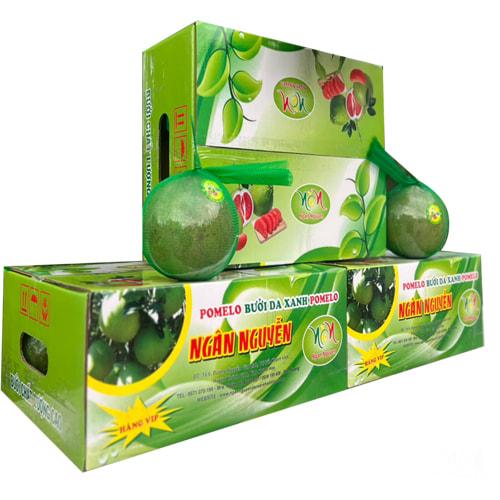 Thùng đựng bưởi da xanh xuất khẩu ảnh 4