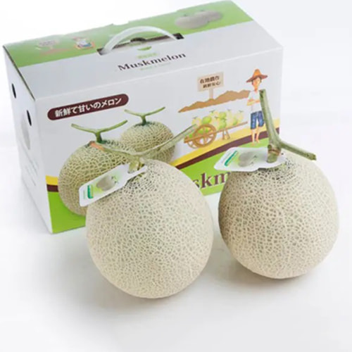 Thùng đựng dưới lưới xuất khẩu ảnh 2