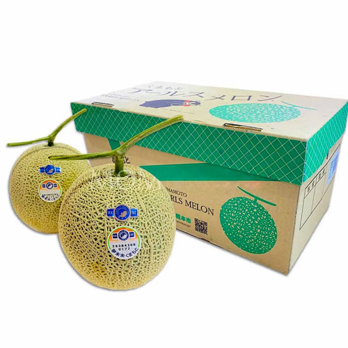 Thùng đựng dưới lưới xuất khẩu ảnh 3