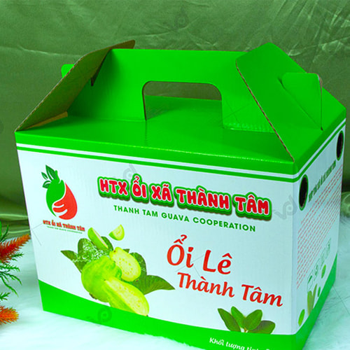 Thùng đựng ổi xuất khẩu