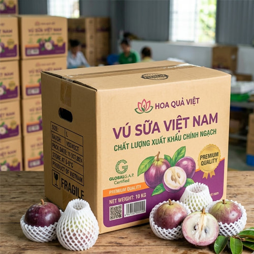 Thùng đựng vú sữa xuất khẩu