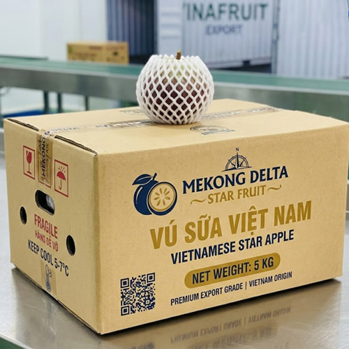 Thùng đựng vú sữa xuất khẩu ảnh 2