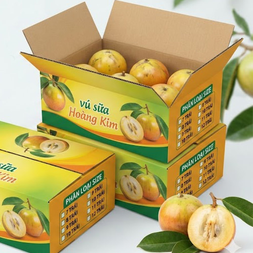 Thùng đựng vú sữa xuất khẩu ảnh 3