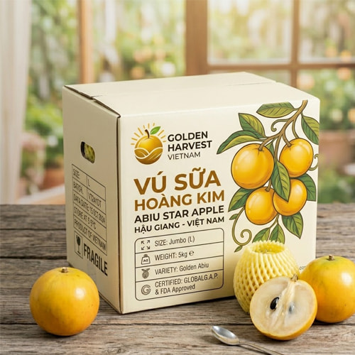 Thùng đựng vú sữa xuất khẩu ảnh 4