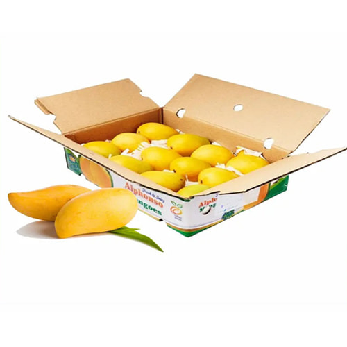Thùng đựng xoài xuất khẩu ảnh 5