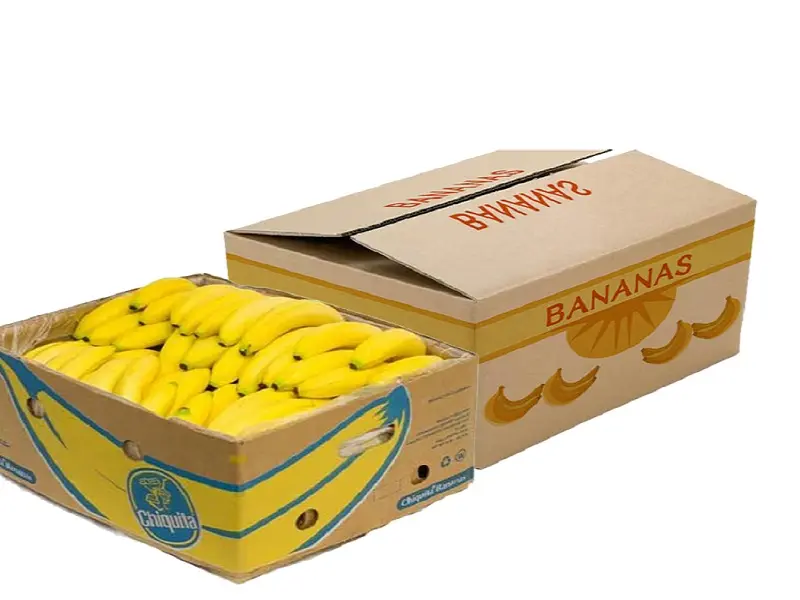thùng carton Quận 11, thùng carton tại Quận mười một, hộp carton tại Quận 11, hộp carton tại Quận mười một