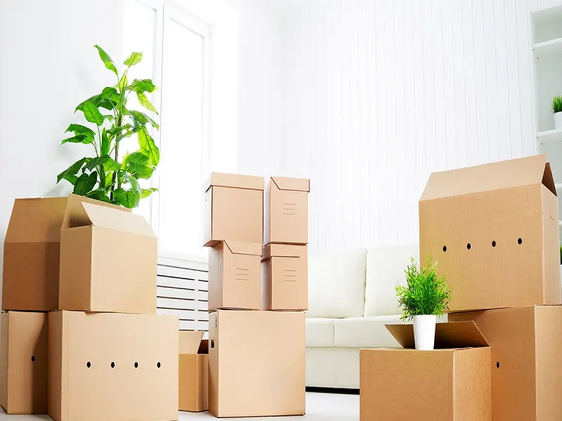 mua thùng carton bà rịa